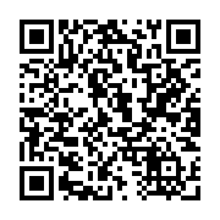 QR code for 339INT