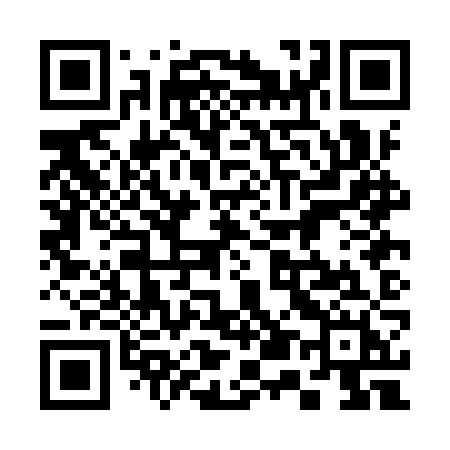 QR code for 350IZH