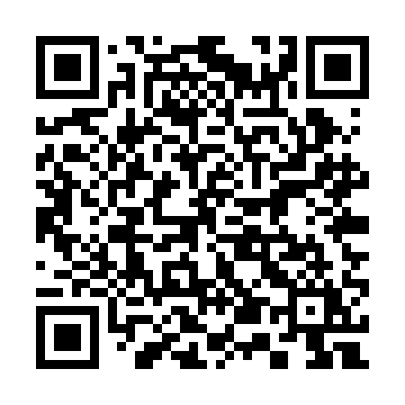 QR code for 355RAY