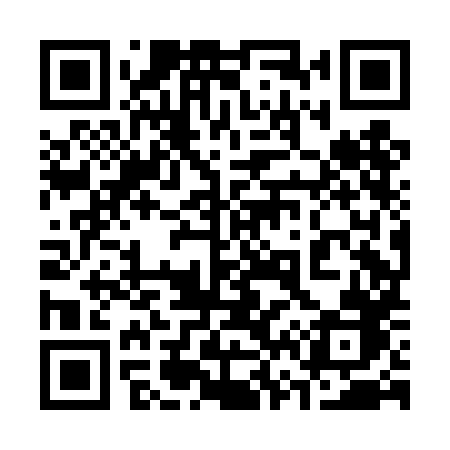 QR code for 368DHB