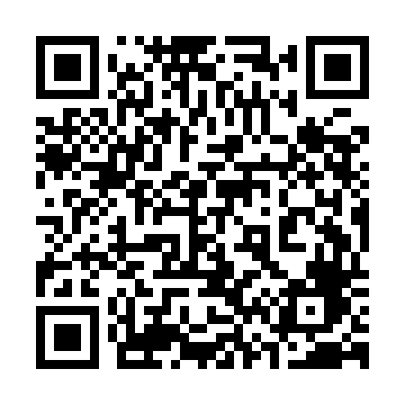 QR code for 369IDF
