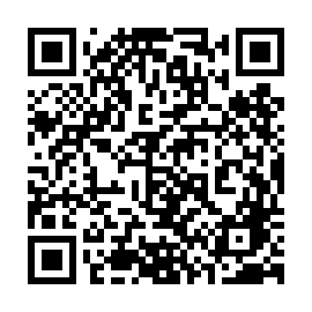 QR code for 369TDG