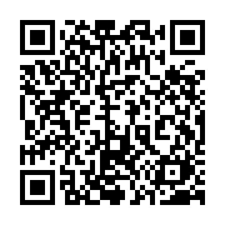 QR code for 371IBM