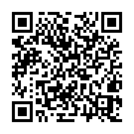 QR code for 373MMS