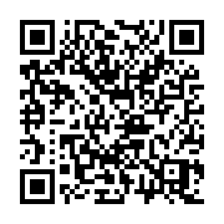 QR code for 376MPP