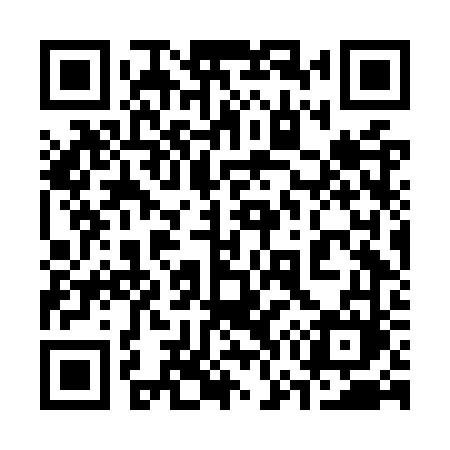 QR code for 376OVM