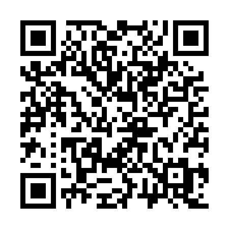 QR code for 376PBM