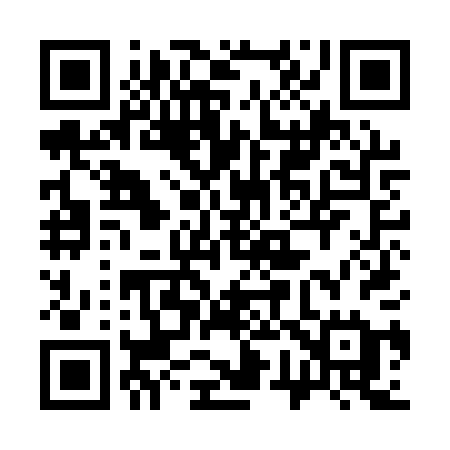 QR code for 379APE