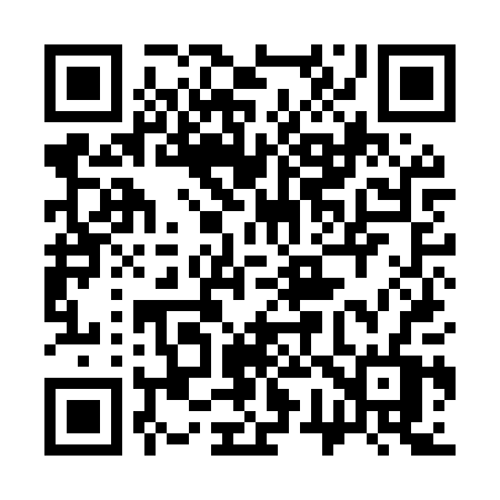 QR code for 379MPV