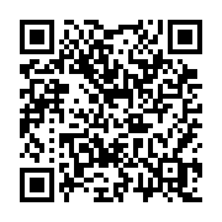 QR code for 379SFF