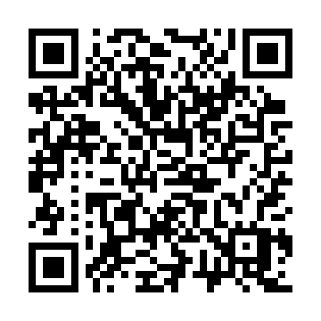 QR code for 379SPW