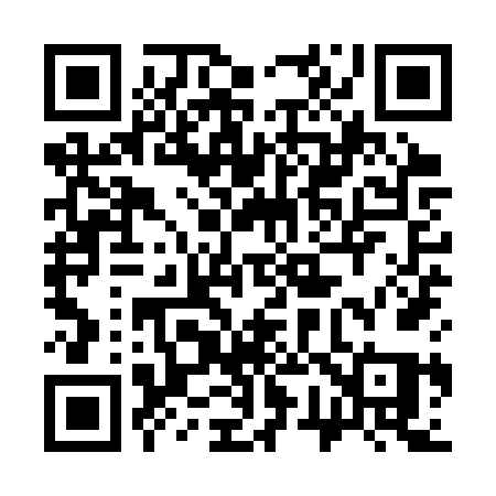 QR code for 379SVQ