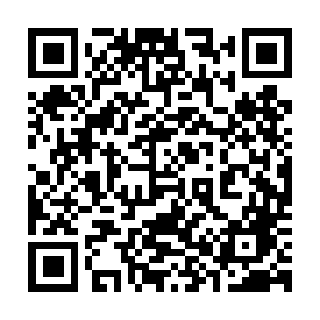 QR code for 380DDG