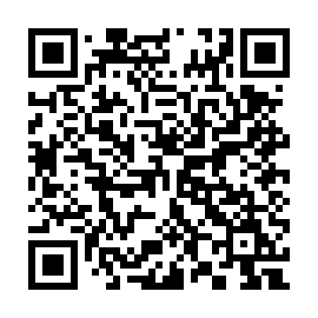 QR code for 380DUM