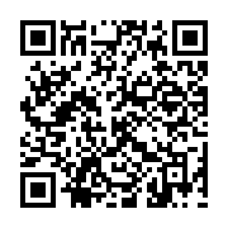 QR code for 380SRO
