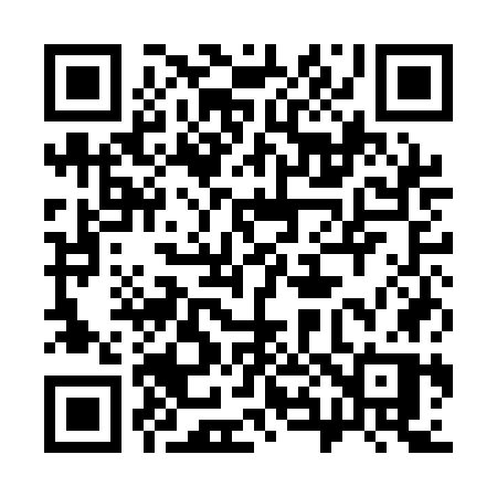 QR code for 381AGP