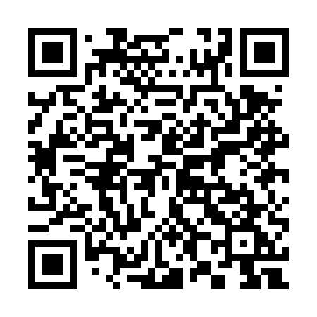 QR code for 381DUG