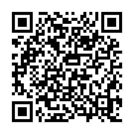 QR code for 381INJ
