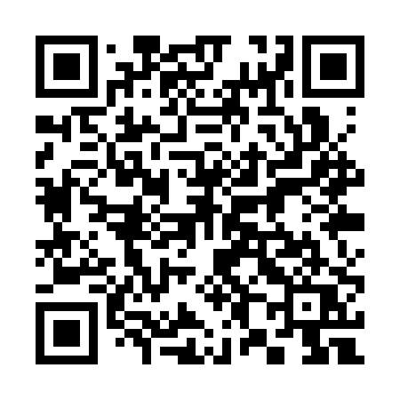 QR code for 381SPQ