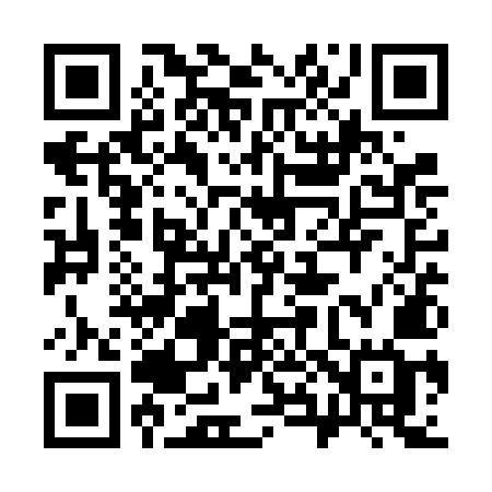 QR code for 381VMG