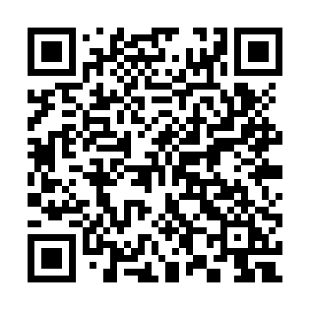 QR code for 381ZPI