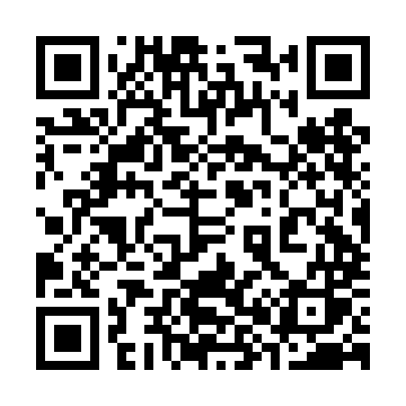 QR code for 382DMS