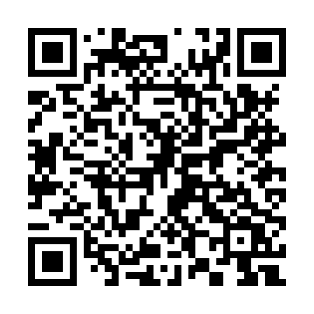 QR code for 382HPV