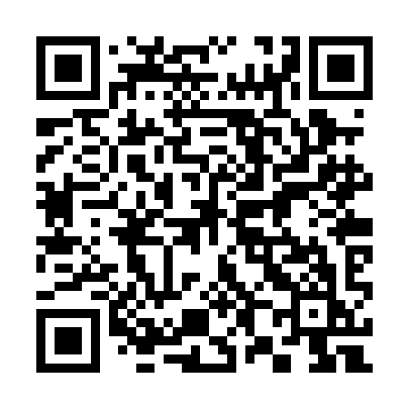 QR code for 382PIK