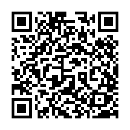 QR code for 382PLY