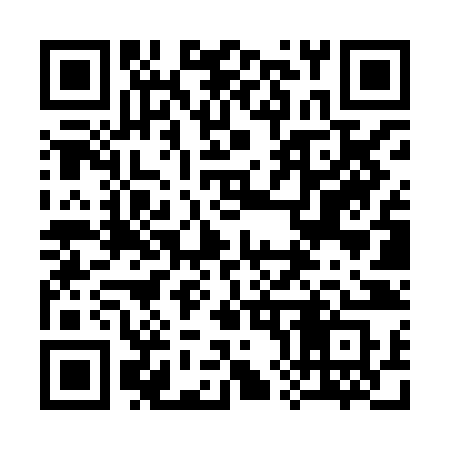 QR code for 382XJS