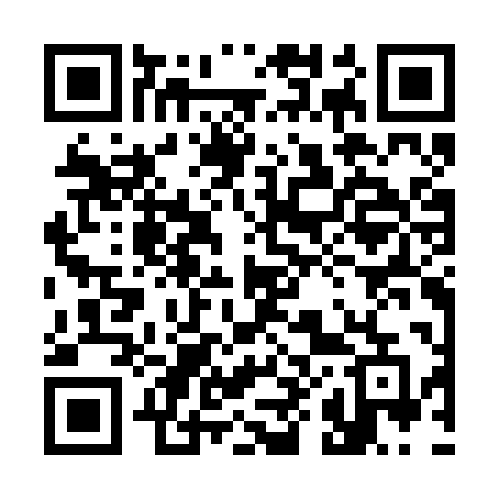 QR code for 383BPE