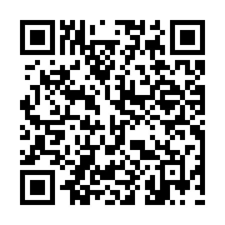 QR code for 383CSM