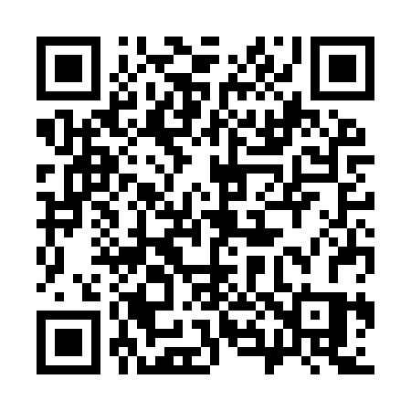 QR code for 383IRS