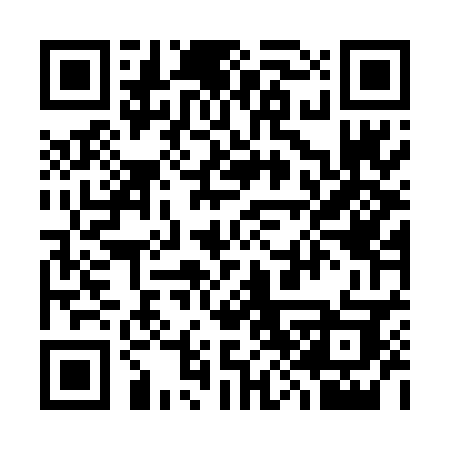 QR code for 384DBK