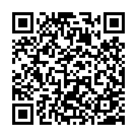 QR code for 384DPW