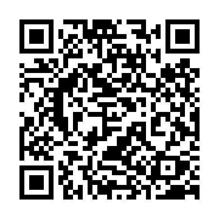 QR code for 384DSY