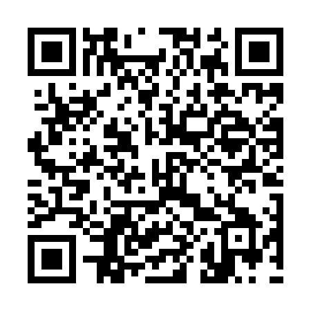 QR code for 384ILY