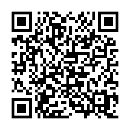QR code for 384IPM