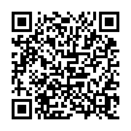 QR code for 384KEF