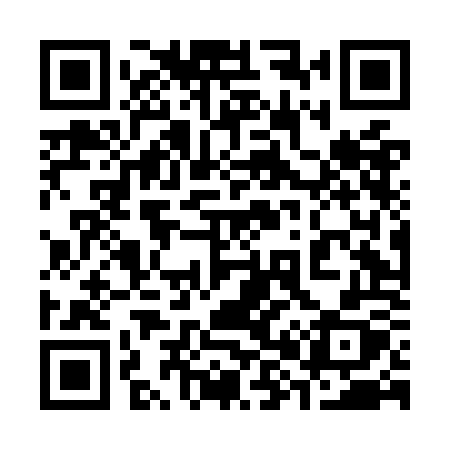 QR code for 384OOX