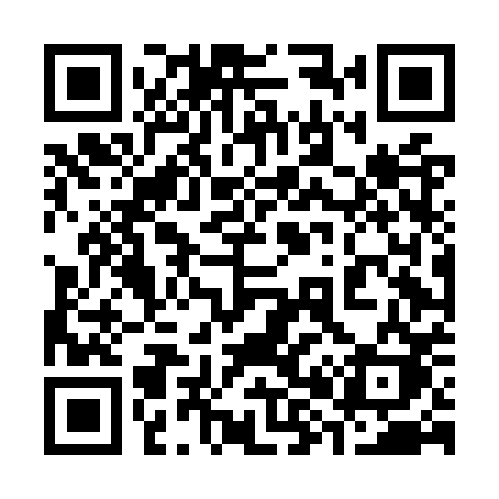 QR code for 384OPK