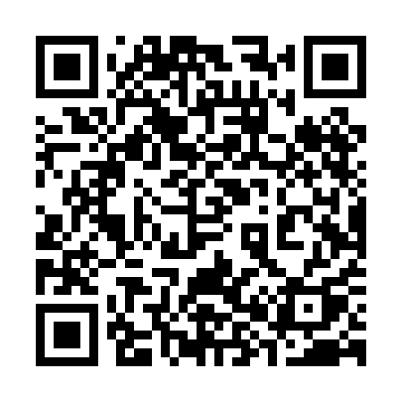 QR code for 384PAQ