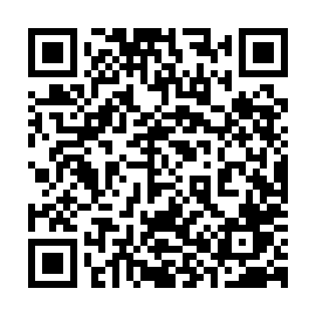 QR code for 384QHV