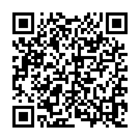 QR code for 384QIO