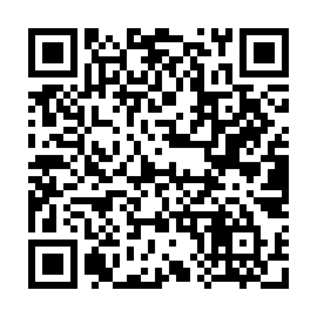 QR code for 384SKU
