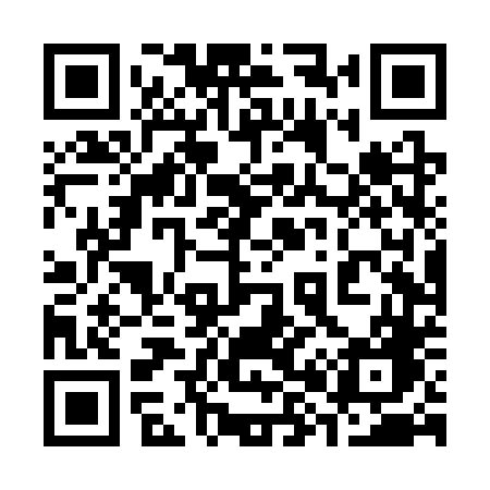 QR code for 384STG