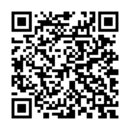 QR code for 384TIF