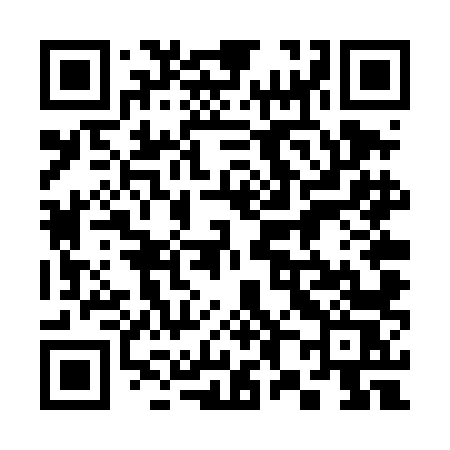 QR code for 384TLS