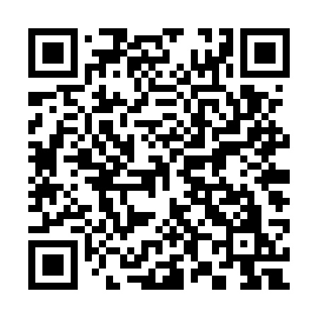 QR code for 384USO