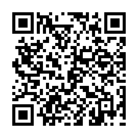 QR code for 384VDM